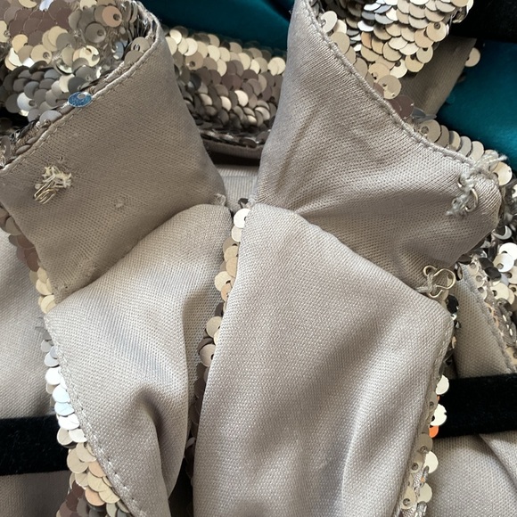 Sparkly Vintage Dress - Picture 4 of 4